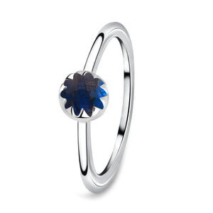 labradorite-ring-lbd-rdr-1421