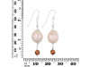 Pearl / Tiger Eye Beaded Earring BDD-3-184