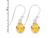 Citrine Earring CIT-RDE-1639.