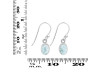 Close Out Larimar Earring LAR-CO-RDE-1285.