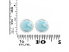 Close Out Larimar Earring LAR-CO-RDE-994.