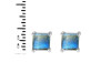 Labradorite Stud Earring LBD-RDE-1373.