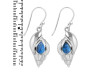 Labradorite Shell Earring LBD-RUE-7.