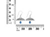 Labradorite Whale Tail Earring LBD-RUE-22.