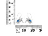 Labradorite Turtle Earring LBD-RUE-42.