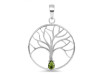 Moldavite Tree Of Life Pendant MLD-RDN-154-A.