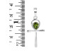 Moldavite Ankh Pendant MLD-RDN-168.