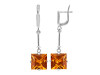 Nanosital Earring NNL-3-5