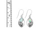 Opal Shell Earring OPL-RUE-6.
