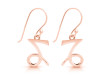 Capricorn Zodiac Plain Silver Jewelry Set PS-RDR-3087/RDE-1494/RDB-179/RDC-17.
