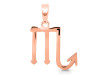 Scorpio Zodiac Plain Silver Jewelry Set PS-RDR-3096/RDE-1504/RDB-189/RDC-27.