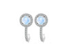 Moonstone & White Topaz Stud Earring RBM-RDE-1264.