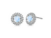 Moonstone & White Topaz Stud Earring RBM-RDE-1268.