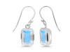 Moonstone Earring RBM-RDE-1328.