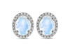 Moonstone Stud Earring RBM-RDE-34.
