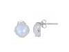 Moonstone Stud Earring RBM-RDE-839.