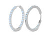 Moonstone Hoop Earring RBM-RDE-971.