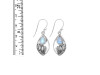 Moonstone Shell Earring RBM-RUE-6.