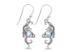 Moonstone Sea Horse Earring RBM-RUE-11.