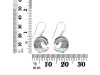 Moonstone Waves Earring RBM-RUE-23.