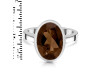 Smoky Ring SMY-RDR-1892.