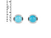 Turquoise Stud Earring TRQ-RDE-1072.