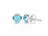 Turquoise Stud Earring TRQ-RDE-1072.