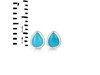 Turquoise Stud Earring TRQ-RDE-1105.