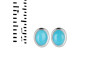 Turquoise Stud Earring TRQ-RDE-1107.