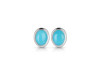 Turquoise Stud Earring TRQ-RDE-1107.