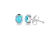Turquoise Stud Earring TRQ-RDE-1107.