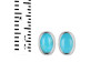 Turquoise Stud Earring TRQ-RDE-1108.