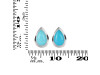 Turquoise Stud Earring TRQ-RDE-1111.