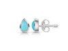 Turquoise Stud Earring TRQ-RDE-1111.