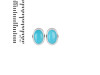 Turquoise Stud Earring TRQ-RDE-1112.
