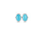 Turquoise Stud Earring TRQ-RDE-1112.