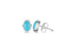 Turquoise Stud Earring TRQ-RDE-1112.