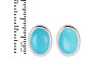 Turquoise Stud Earring TRQ-RDE-1113.