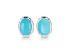 Turquoise Stud Earring TRQ-RDE-1113.