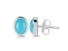 Turquoise Stud Earring TRQ-RDE-1113.