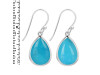 Turquoise Earring TRQ-RDE-1159.