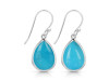 Turquoise Earring TRQ-RDE-1159.