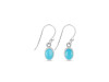 Turquoise Earring TRQ-RDE-1285.