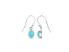 Turquoise Earring TRQ-RDE-1285.