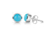Turquoise Stud Earring TRQ-RDE-724.