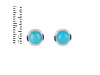Turquoise Stud Earring TRQ-RDE-993.