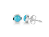Turquoise Stud Earring TRQ-RDE-993.