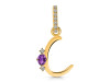 Amethyst & White Topaz Alphabet C Pendant AMT-RDA-29.