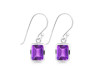 Amethyst Earring AMT-RDE-712.