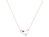 Capricorn Zodiac Star Constellation Amethyst & White Topaz Necklace AMT-RDN-489.